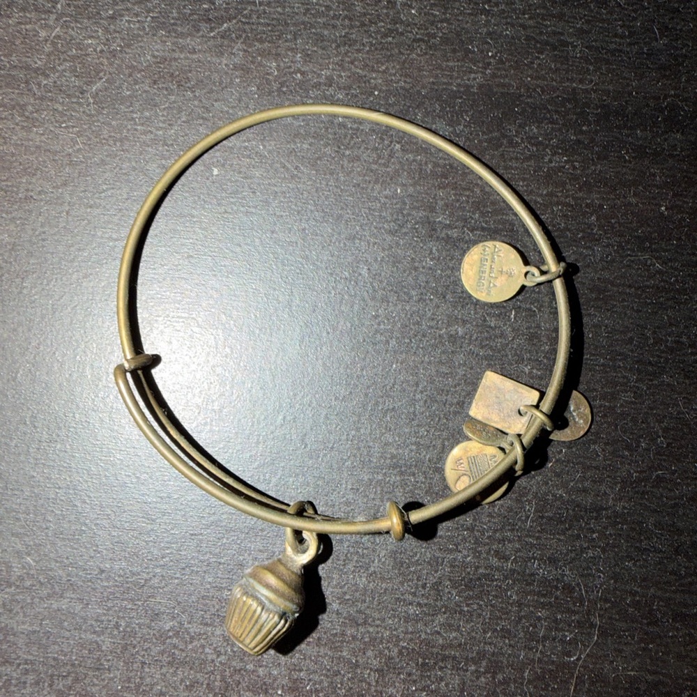Alex and ani Gold Charm Bangle Bracelet